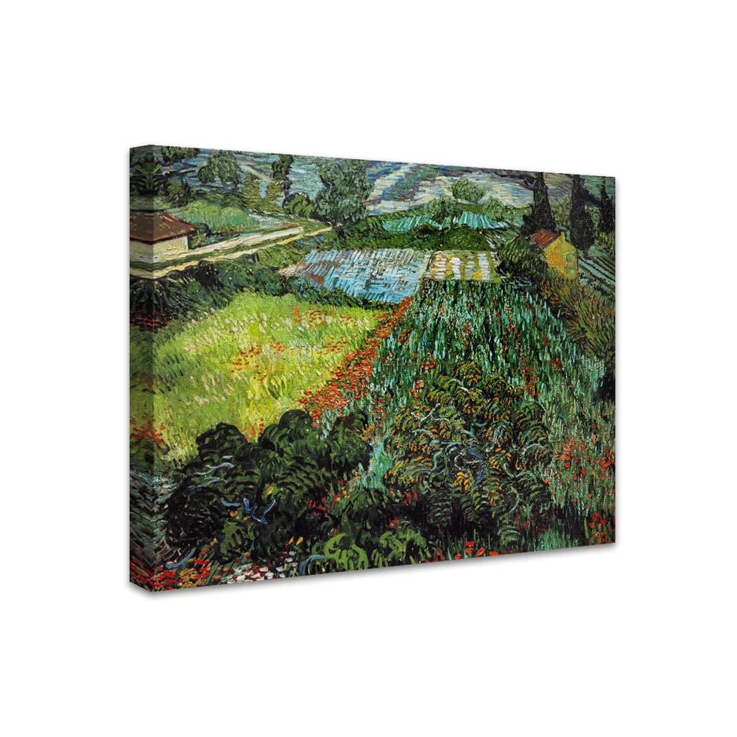 Mohnfeld | Vincent van Gogh