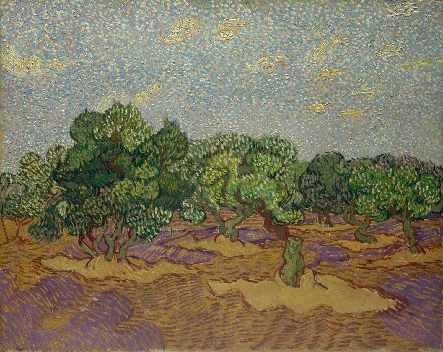 Majestätische Olivenbäume unter einem weiten Himmel, gemalt von Vincent van Gogh im Jahr 1889, mit kräftigen Farben und dynamischen Pinselstrichen im Postimpressionismus-Stil.