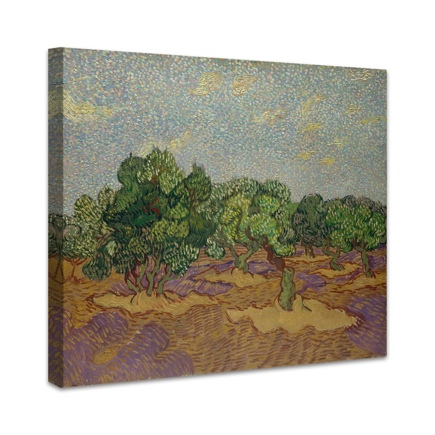 Olivenbäume | Vincent van Gogh