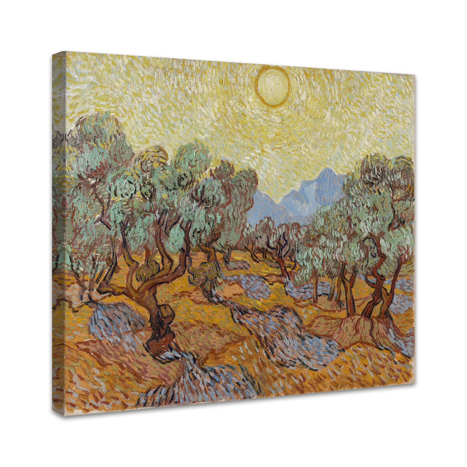 Olivenbäume | Vincent van Gogh