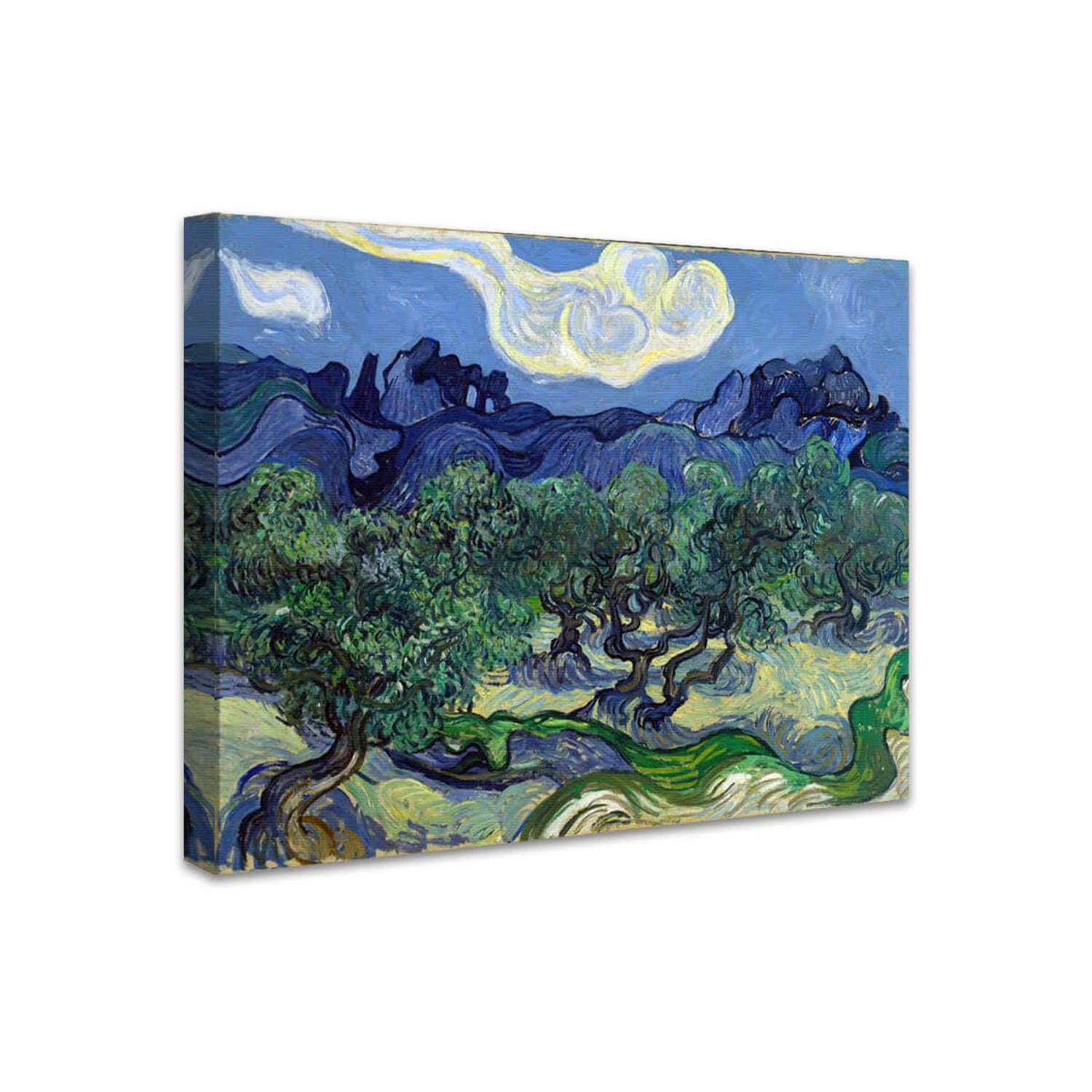 Olivenbäume | Vincent van Gogh