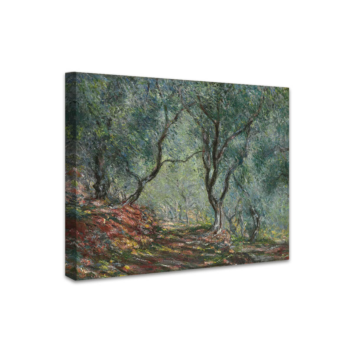 Olivenhain im Garten Moreno | Claude Monet