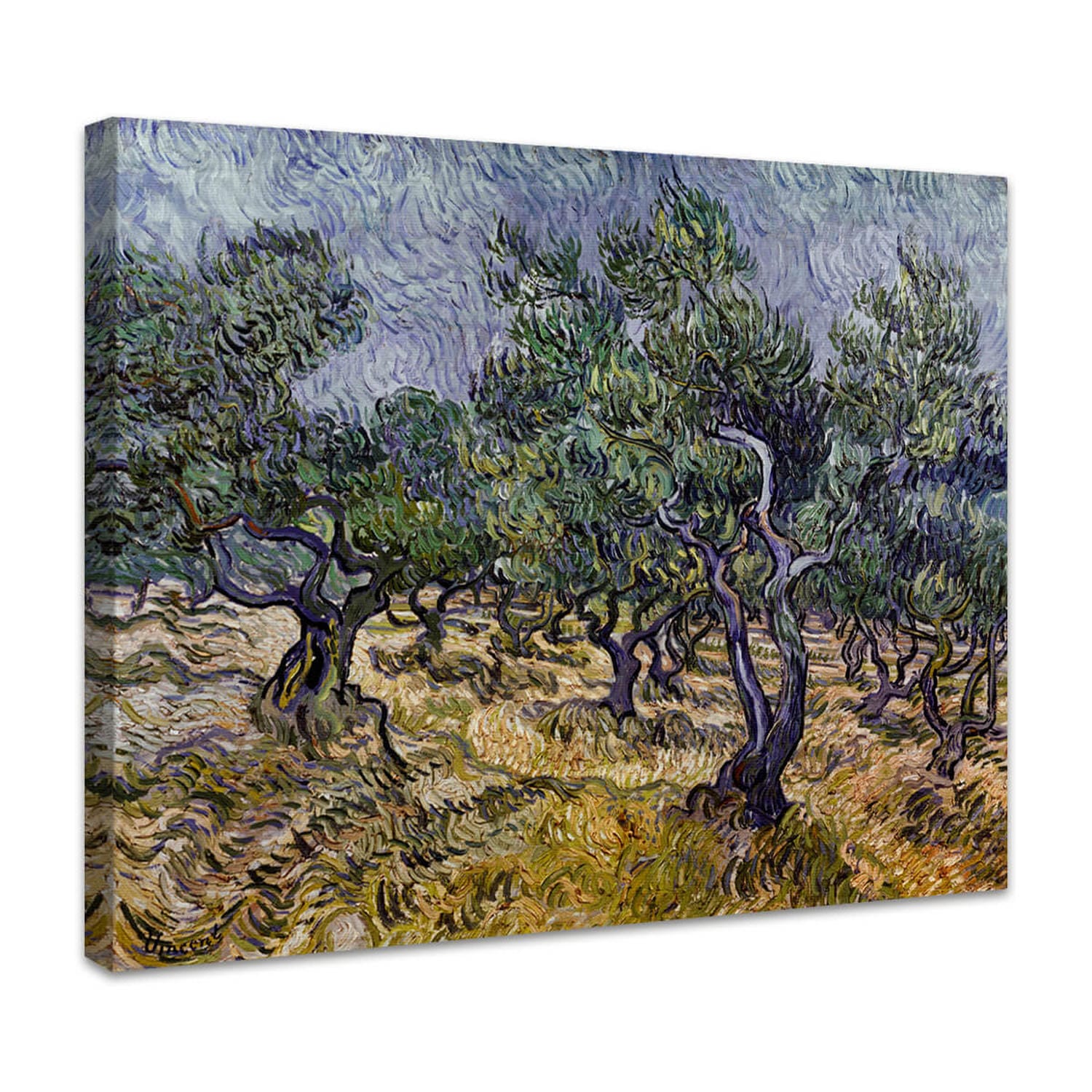 Olivenhain | Vincent van Gogh