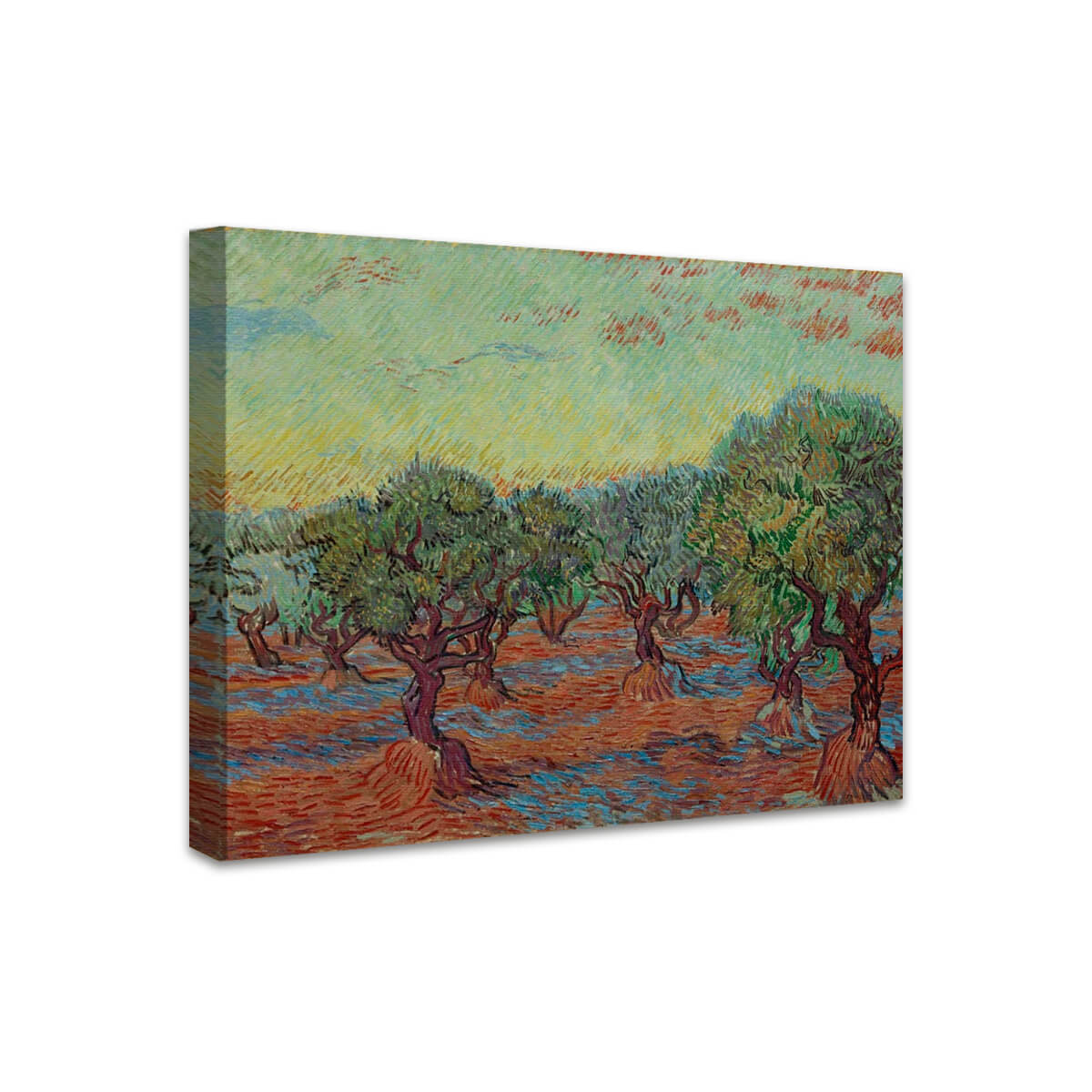 Olivenhain | Vincent van Gogh