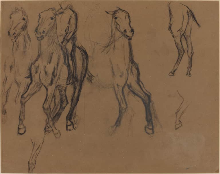 Kunstdruck der Gemäldestudie Pferdestudie von Edgar Degas mit einer detaillierten Darstellung eines Pferdes.