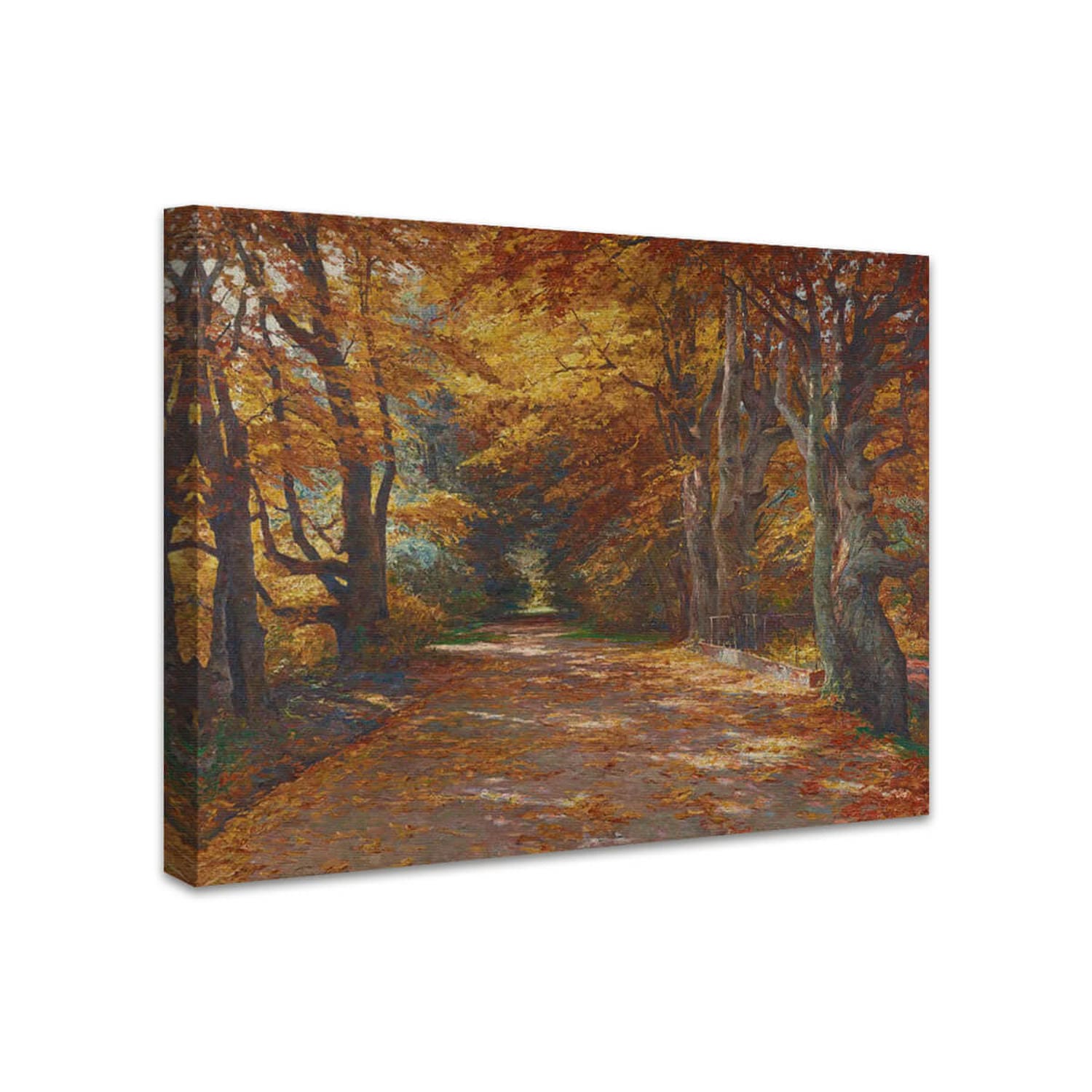 Praterallee im Herbst | Olga Wisinger-Florian