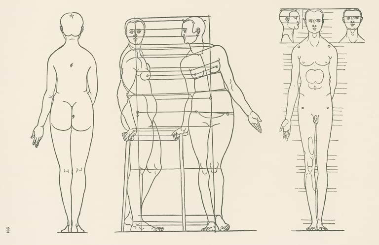 Kunstdruck von „Proportionen des menschlichen Körpers“ von Albrecht Dürer. Detailreiche Studie der menschlichen Anatomie aus der Renaissance, in Deutschland handgefertigt.