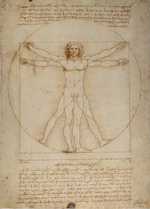 Kunstdruck „Proportionsschema nach Vitruv“ von Leonardo da Vinci