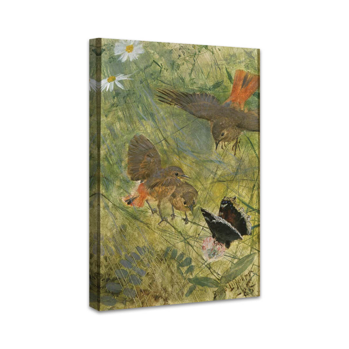 Redstarts and Butterflies | Bruno Liljefors