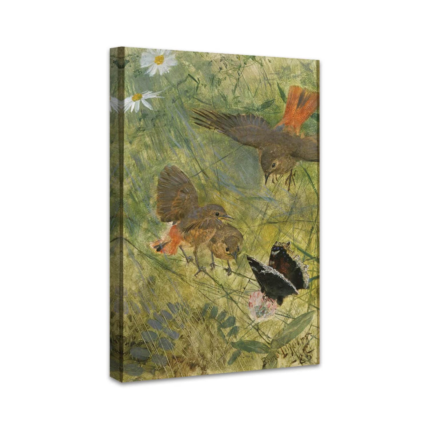 Redstarts and Butterflies | Bruno Liljefors