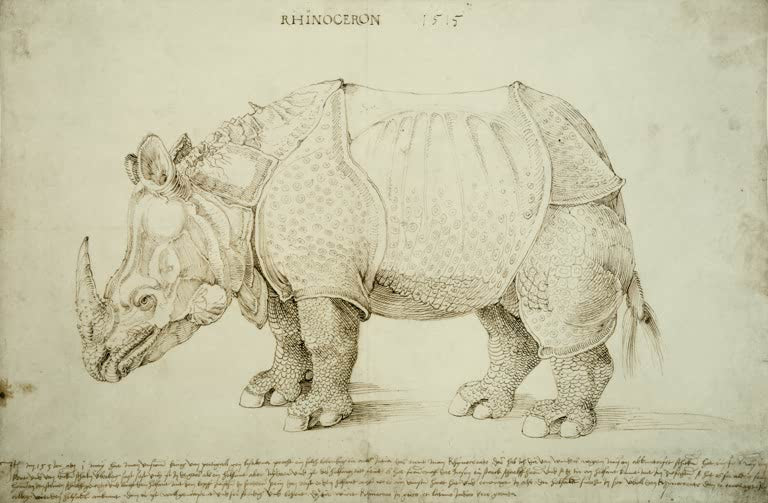 Kunstdruck des Gemäldes „Rhinozeros“ von Albrecht Dürer. Hochwertiger Fine-Art-Druck, in Deutschland per Hand gefertigt, erhältlich auf Leinwand oder als Poster.