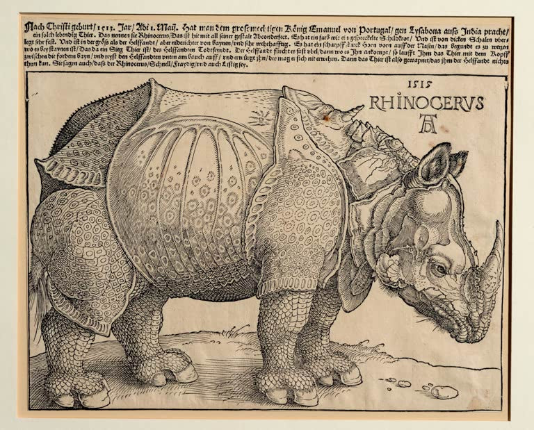 Kunstdruck des Gemäldes „Rhinozeros“ von Albrecht Dürer in hochwertiger Druckqualität. Erhältlich als Poster oder auf Leinwand, optional auch gerahmt.