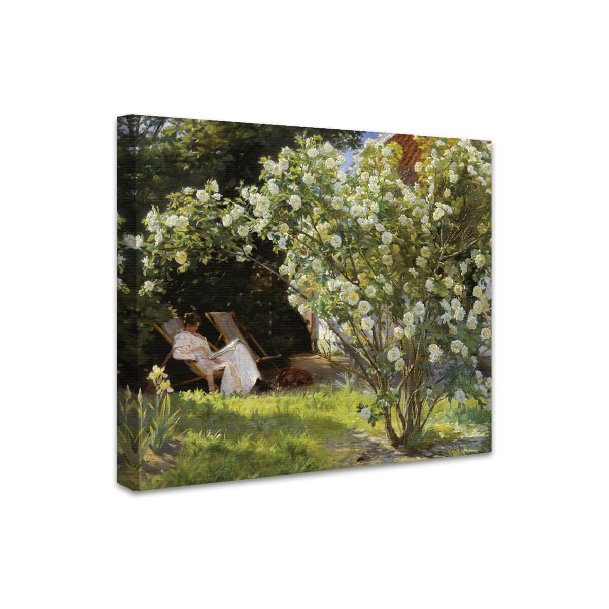 Rosen – Die Frau des Künstlers im Garten von Skagen | Peder Severin Krøyer
