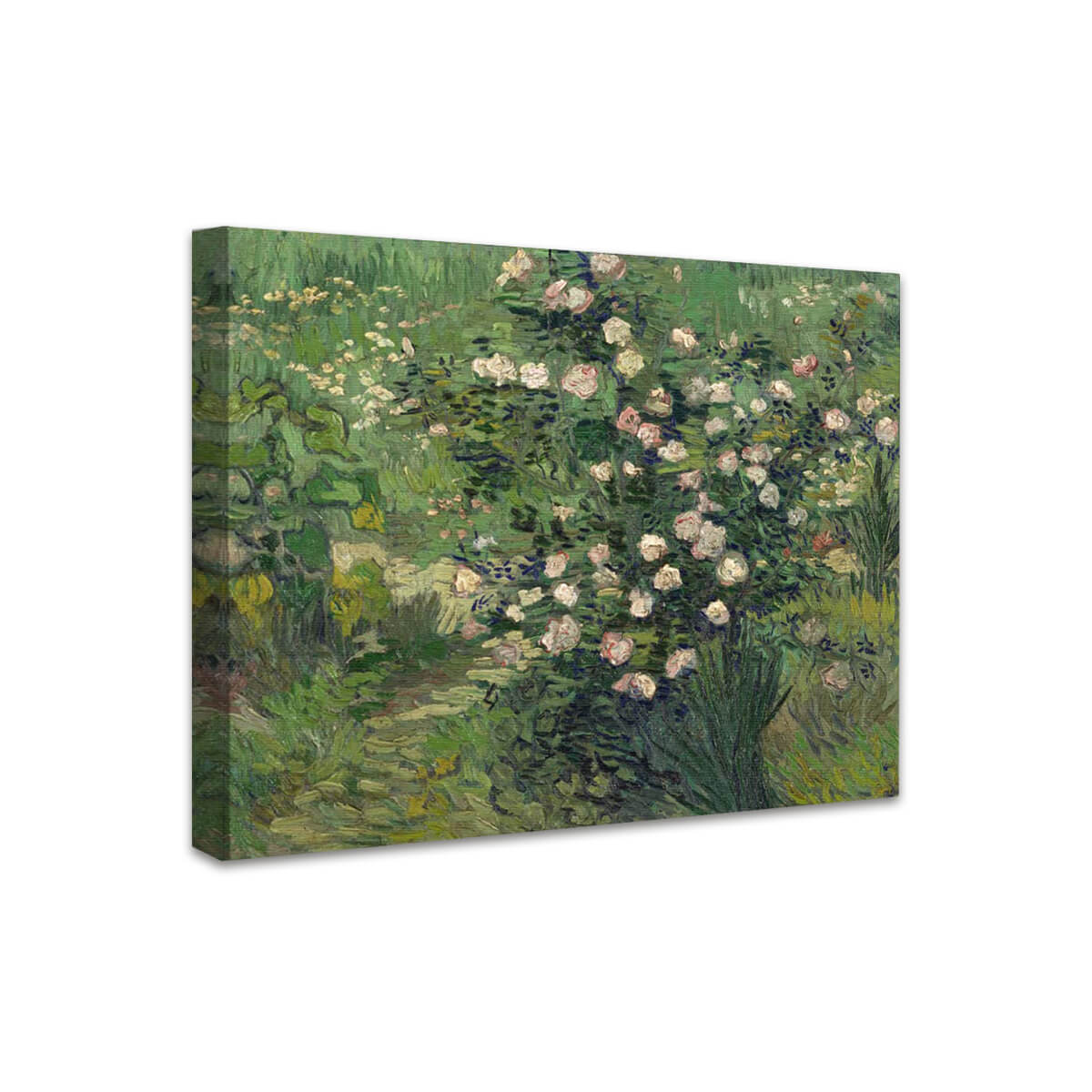 Rosen | Vincent van Gogh