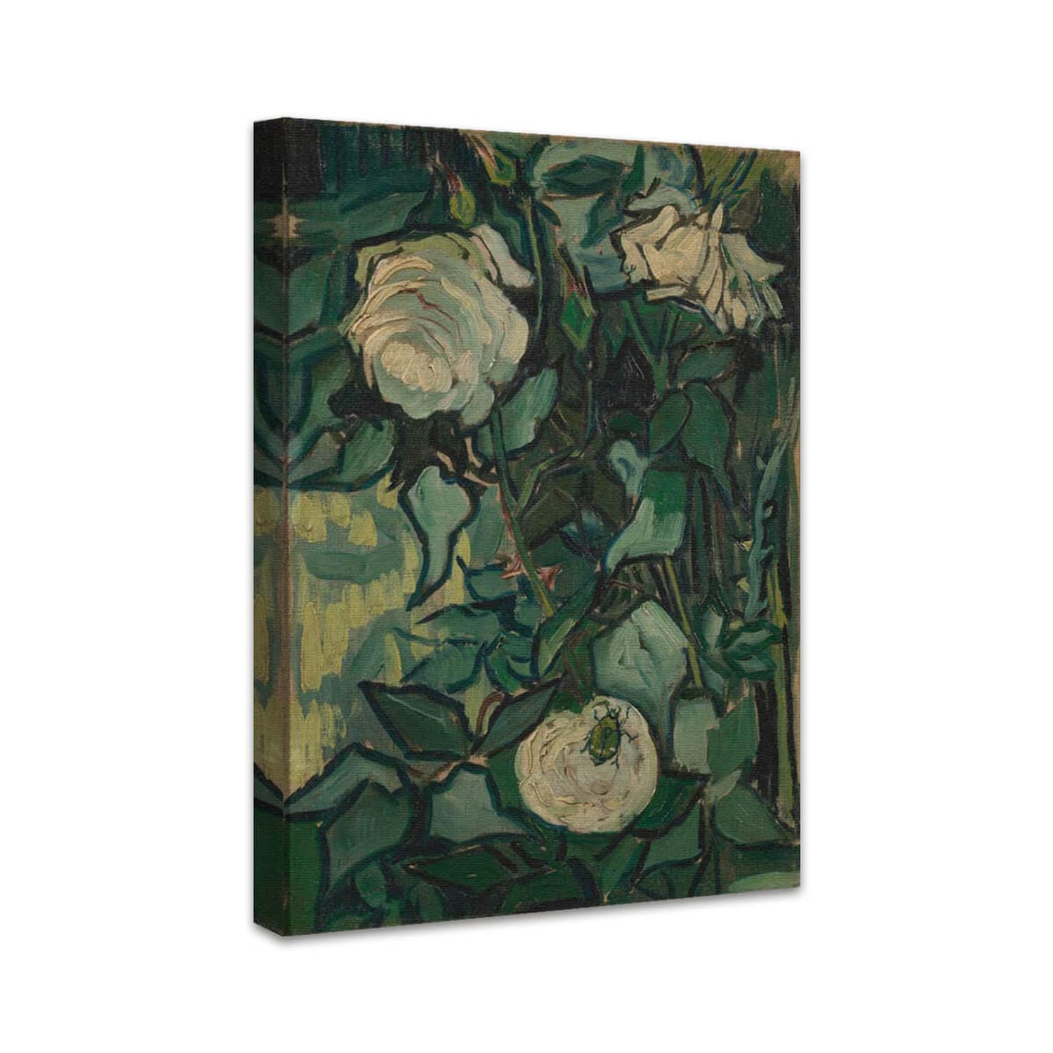 Rosen | Vincent van Gogh