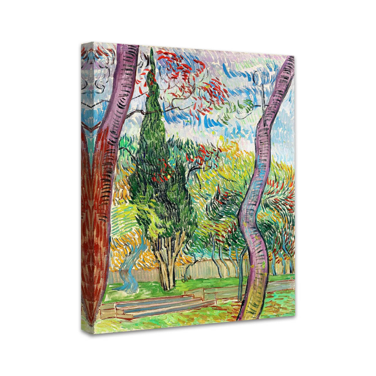 Saint-Paul Hospital Park | Vincent van Gogh