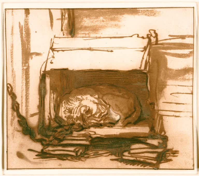 Kunstdruck „Schlafender Wachhund“ von Rembrandt van Rijn
