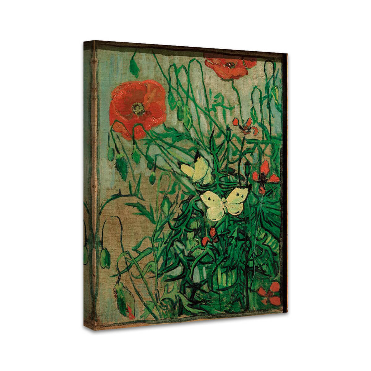 Schmetterlinge auf Mohnblüten | Vincent van Gogh