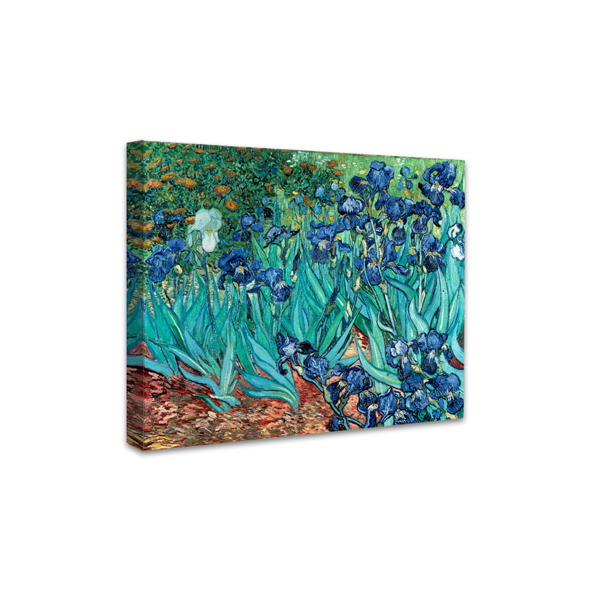 Schwertlilien | Vincent van Gogh