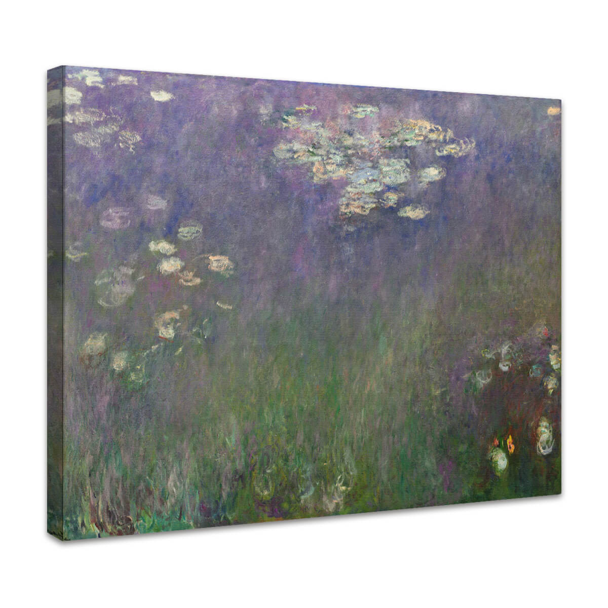 Seerosen (Agapanthus) | Claude Monet