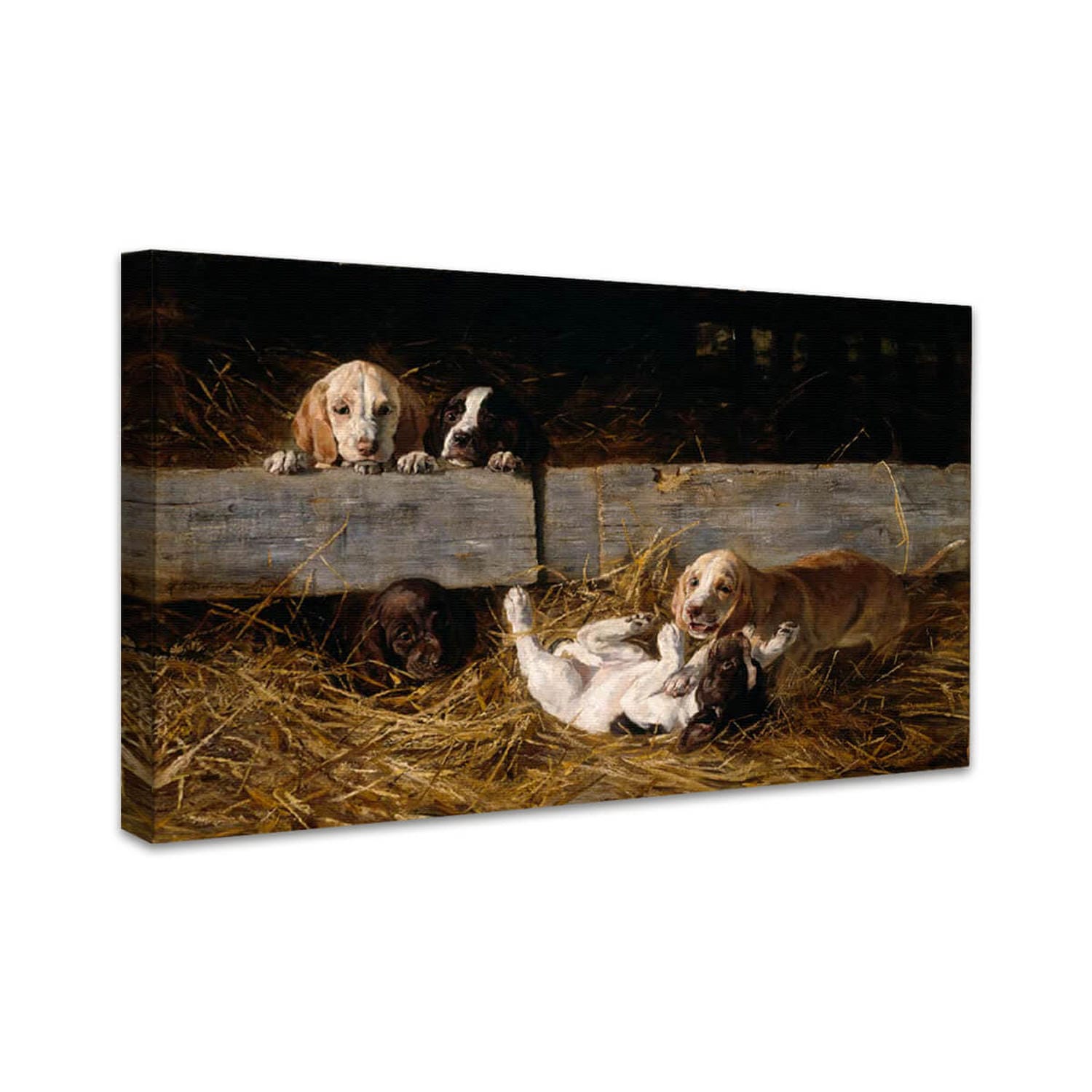 Spielende Welpen | Hermine Biedermann-Arendts