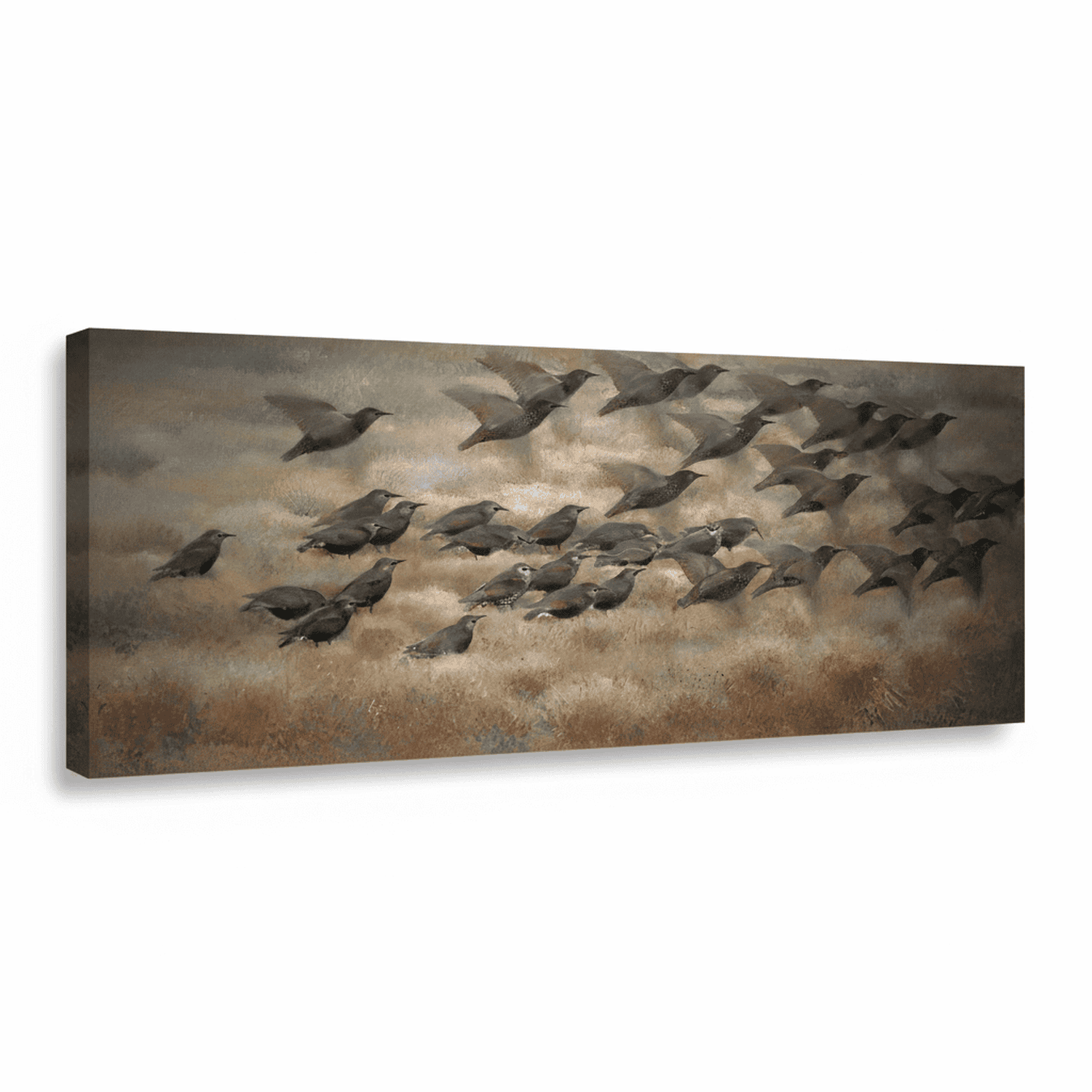 Starenflug | Jean-Bloé Niestlé