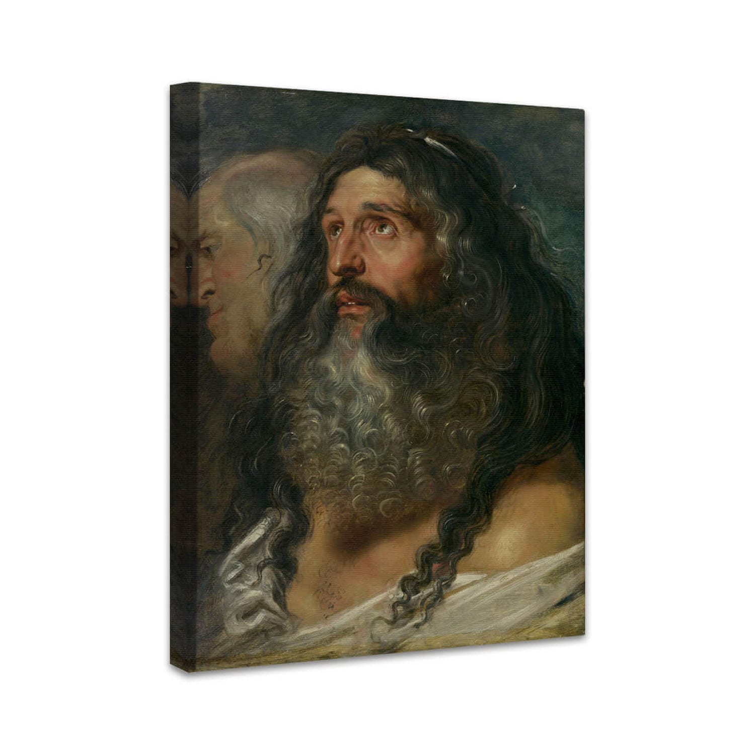 Studie von zwei Köpfen | Peter Paul Rubens