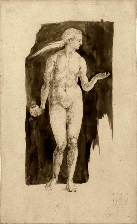 Kunstdruck von „Studie für die Figur der Eva“ von Albrecht Dürer. Detailreiche Figurenstudie aus der Renaissance mit präziser anatomischer Darstellung, in Deutschland handgefertigt.