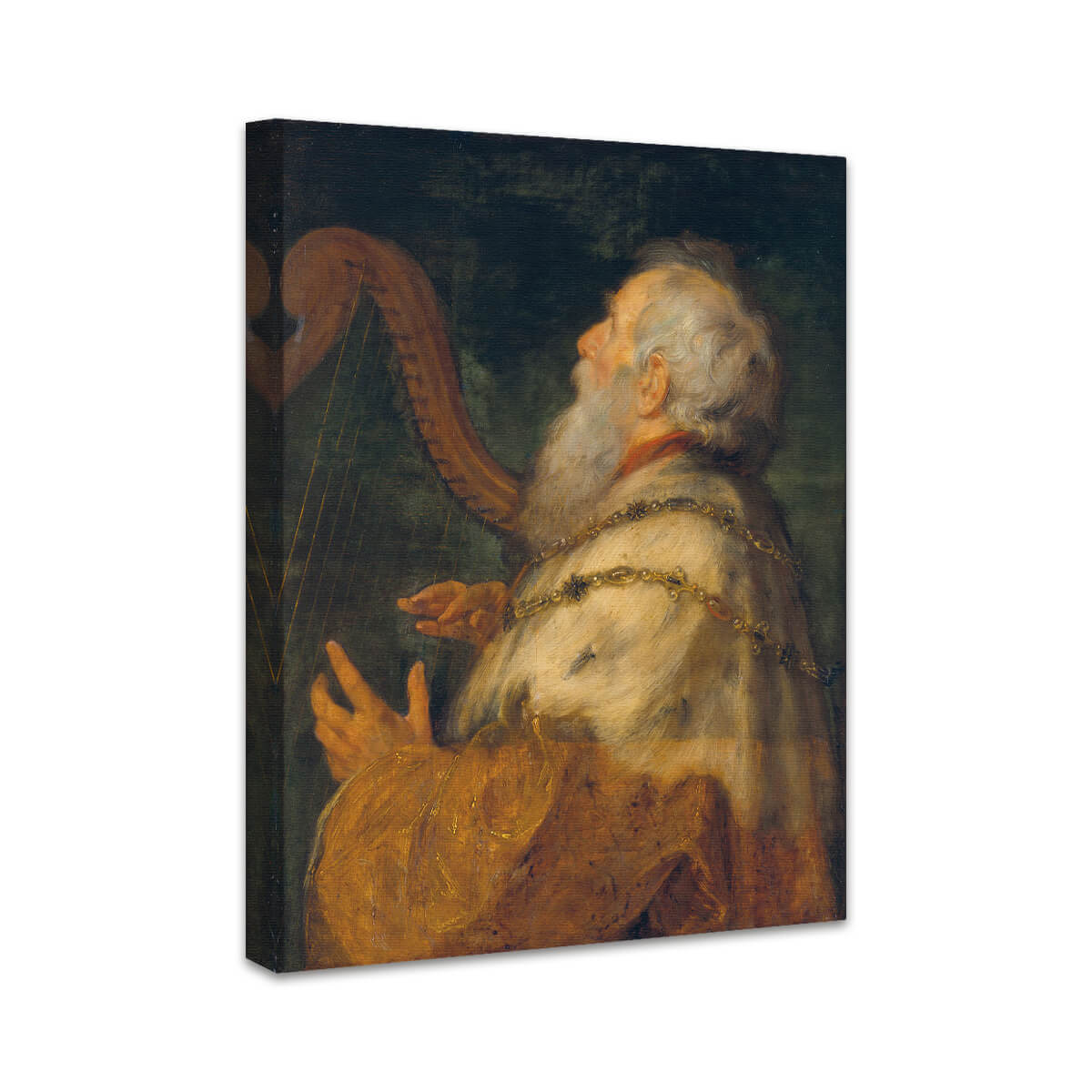 Studienkopf eines alten Mannes, nachträglich erweitert zu König David spielt die Harfe | Peter Paul Rubens & Jan Boeckhorst