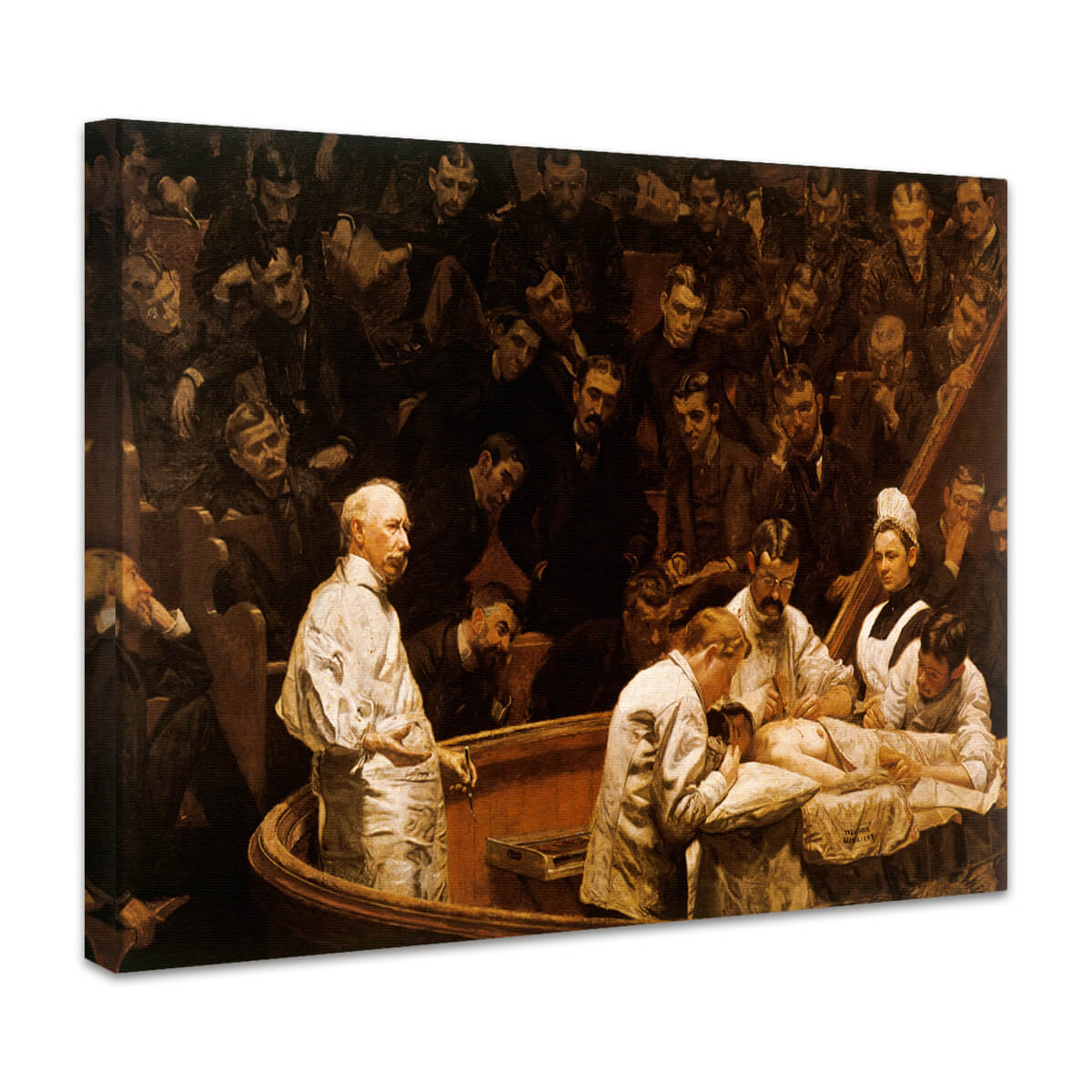 The Agnew Clinic (Die Klinik Agnew) | Thomas Eakins