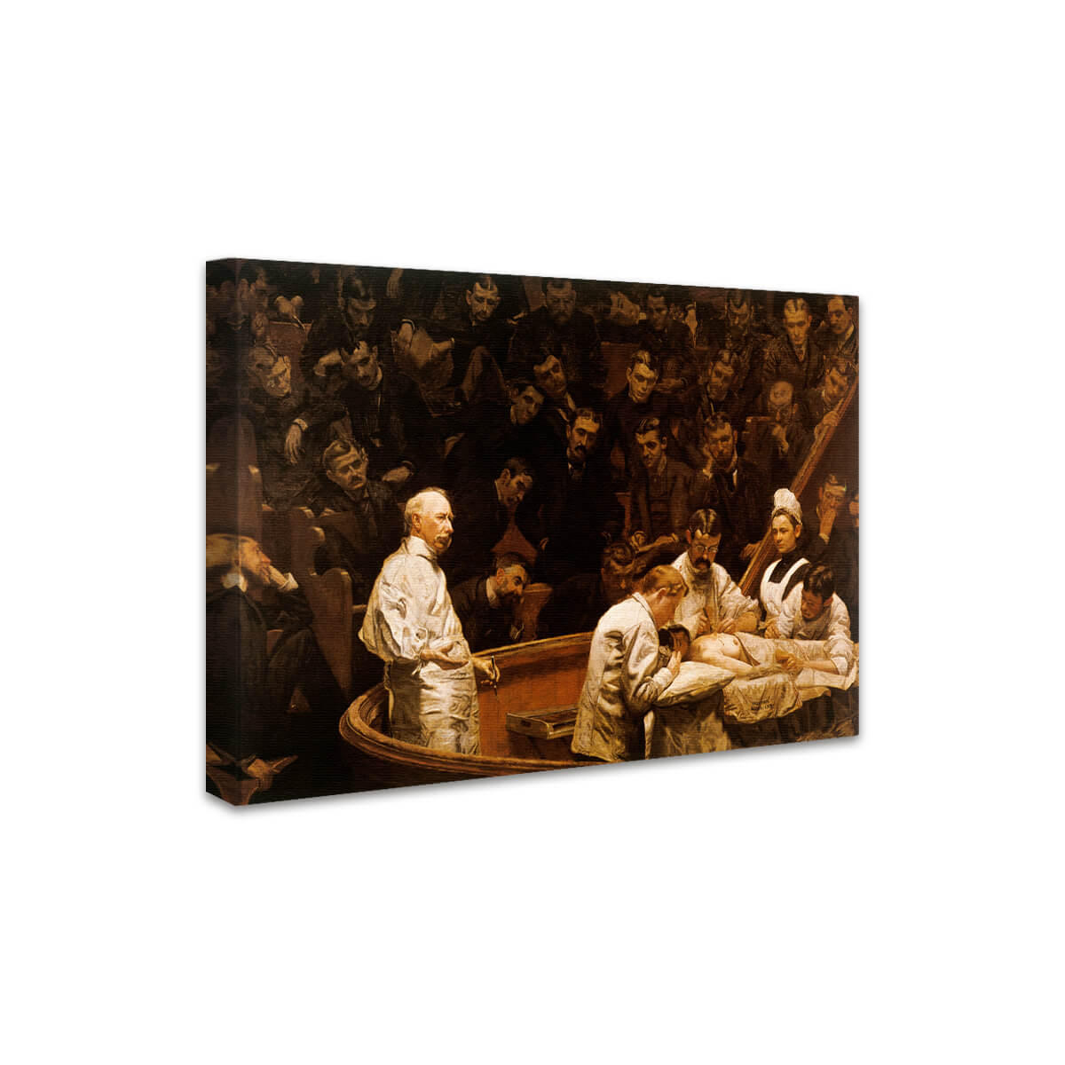 The Agnew Clinic (Die Klinik Agnew) | Thomas Eakins