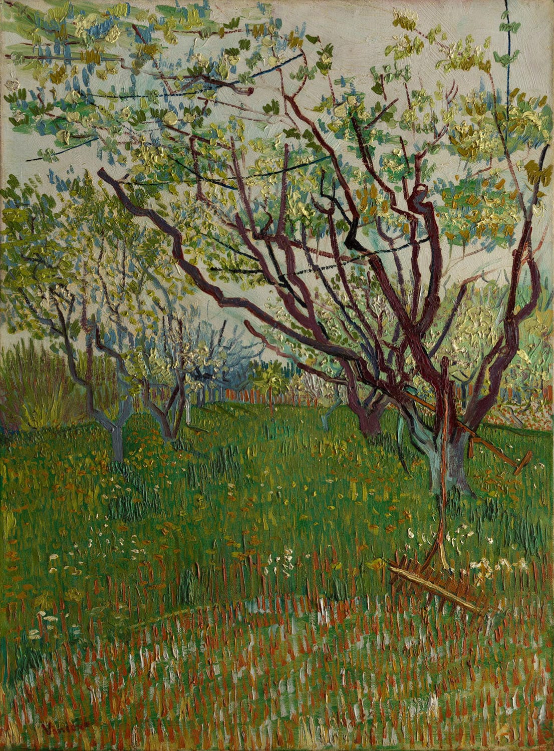 Strahlender Obstgarten im Frühling, mit blühenden Bäumen, gemalt von Vincent van Gogh im Jahr 1888, im postimpressionistischen Stil.