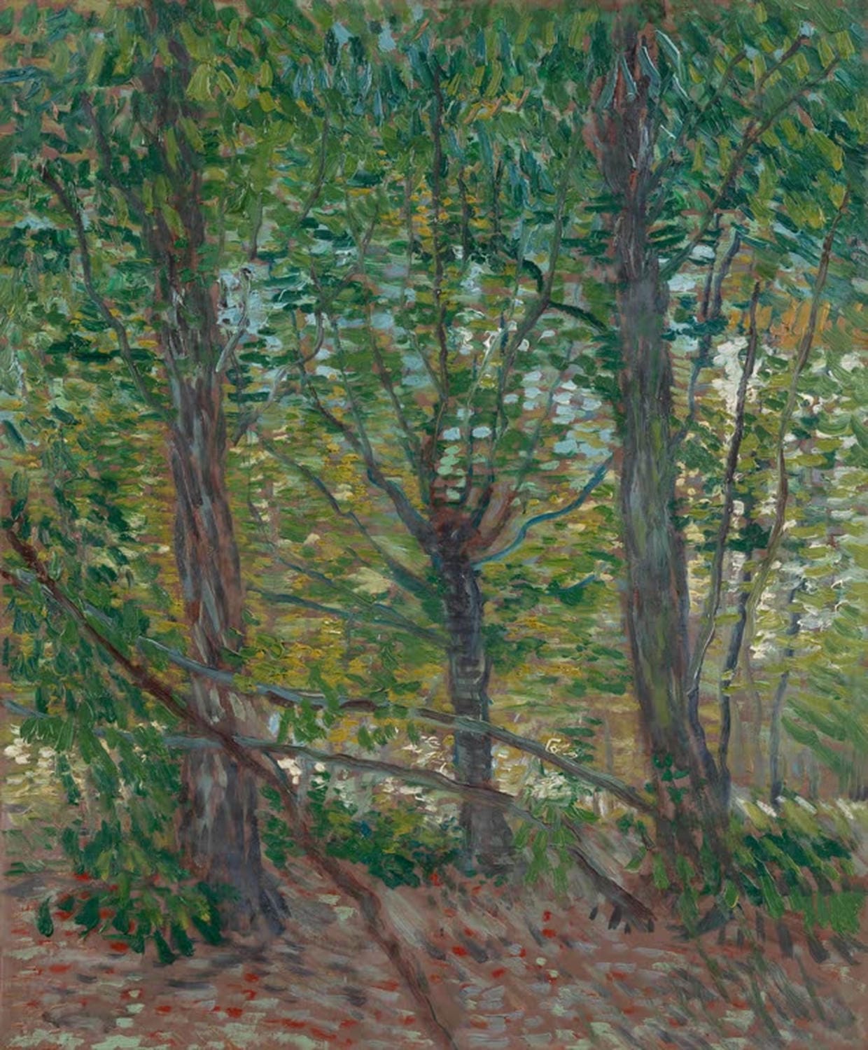 Vincent van Gogh Bäume und Unterholz  impressionistisches Gemälde welches einen Wald mit Bäumen zeigt als Kunstdruck