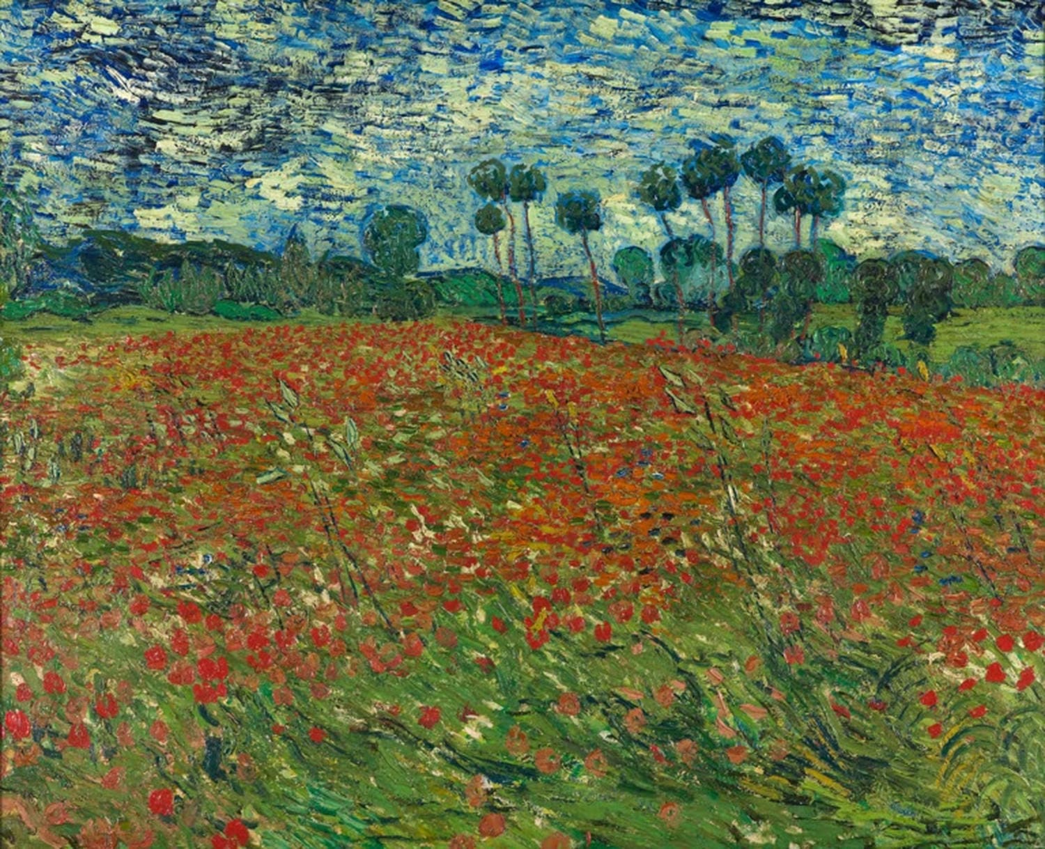 Feld mit Mohnblumen von Vincent van Gogh mit blauem Himmel, grüner Wiese und roten Mohnblumen als Kunstdruck
