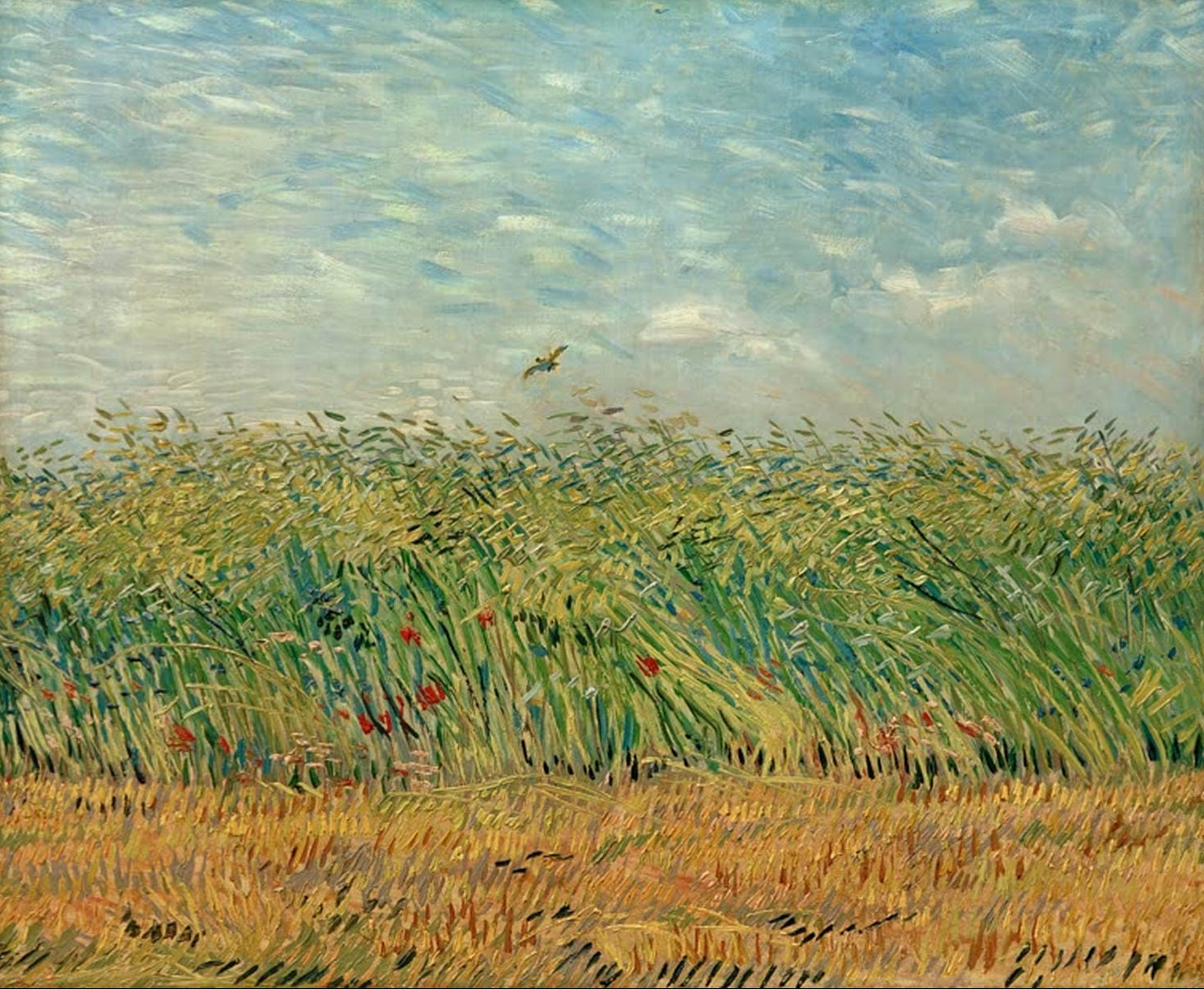 Vincent van Gogh Getreidefeld mit Mohnblumen vor blauem Himmel und Rebhuhn als Kunstdruck