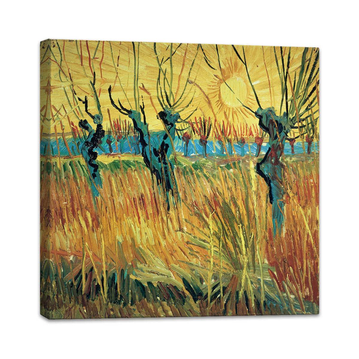Weiden bei Sonnenuntergang | Vincent van Gogh