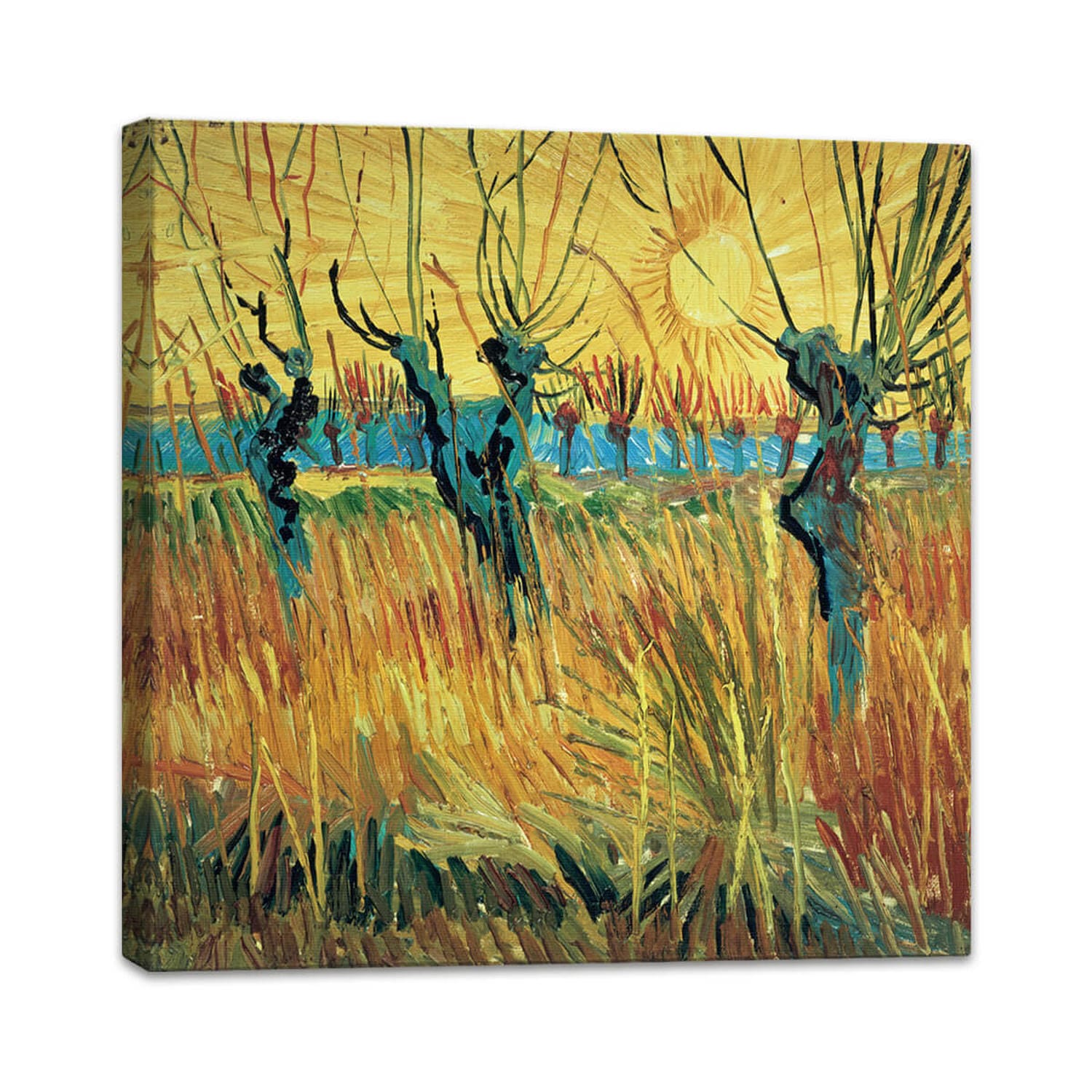 Weiden bei Sonnenuntergang | Vincent van Gogh