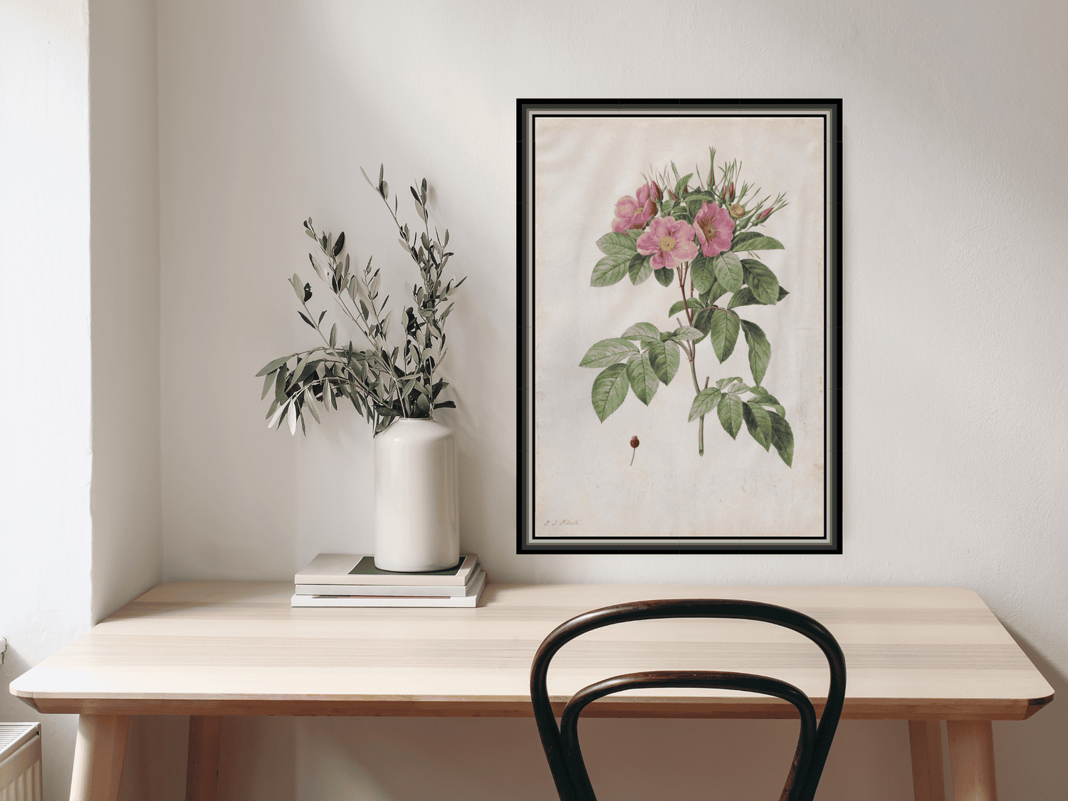 Weiderose (Rosa Carolina Corymbosa) | Pierre-Joseph Redouté