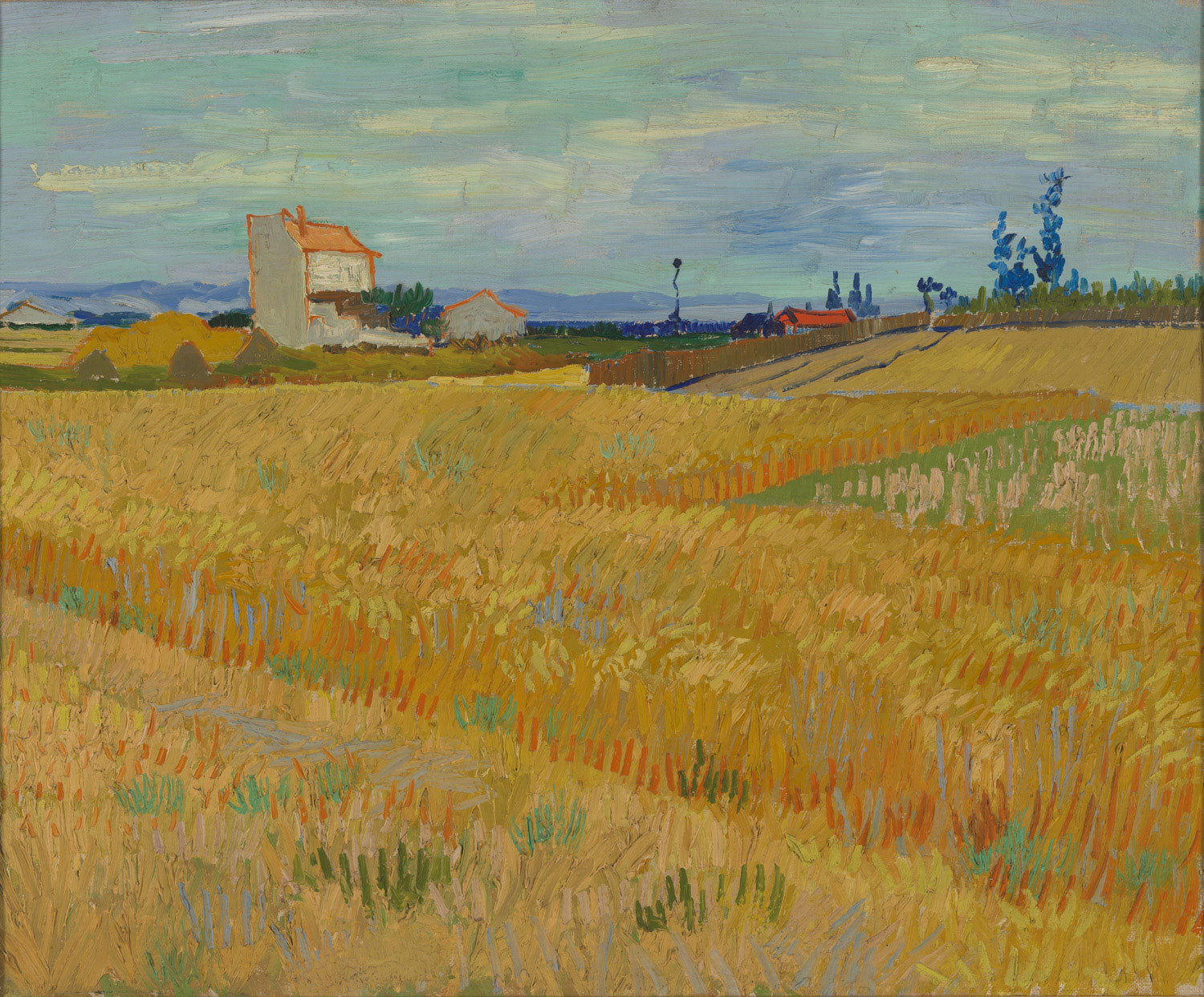 „Ein Weizenfeld unter einem weiten blauen Himmel, gemalt mit kräftigen Pinselstrichen. Das goldene Weizen ist lebendig und dynamisch, während der Himmel in lebhaften Blau- und Weißtönen schimmert, mit wirbelnden Wolken.