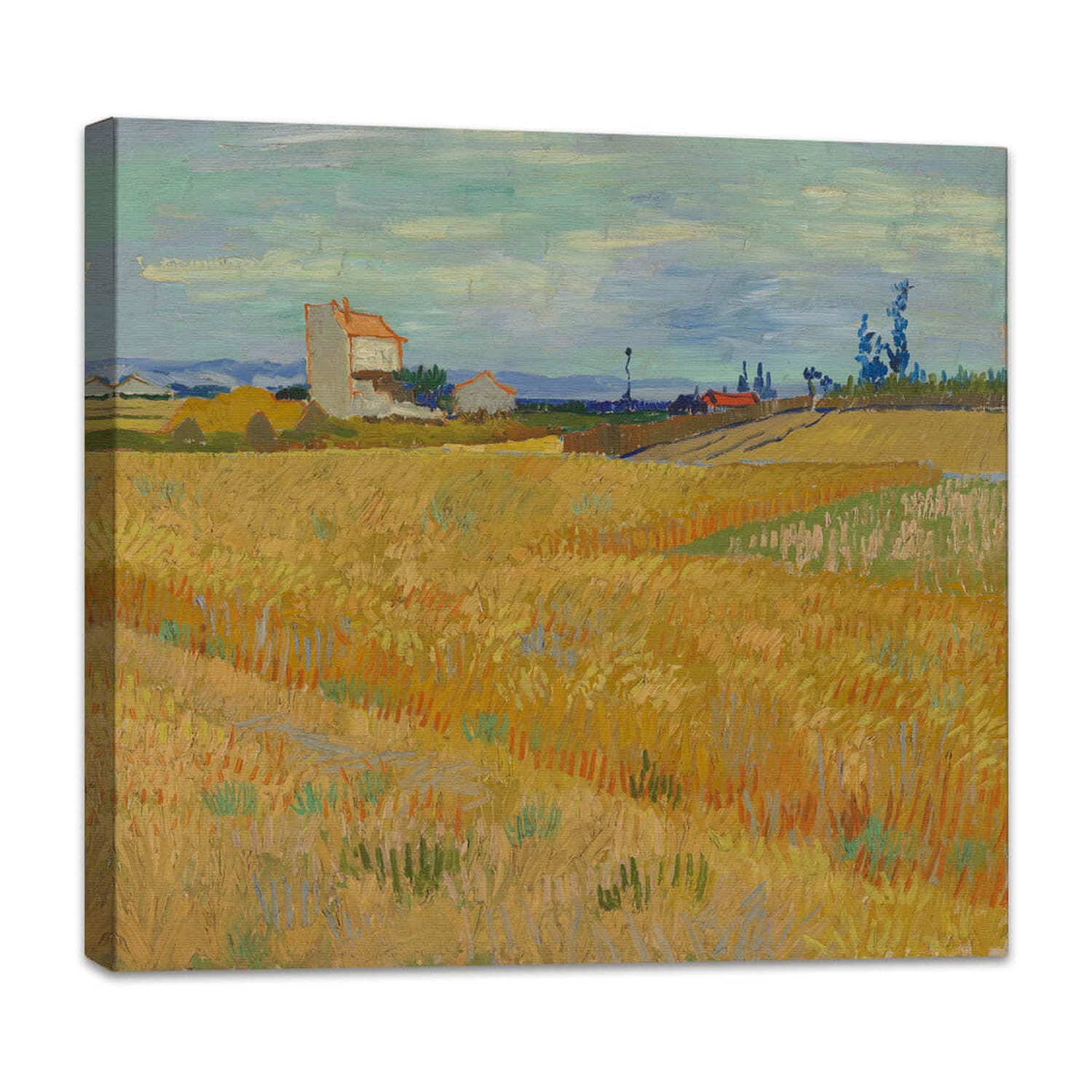 Weizenfeld | Vincent van Gogh