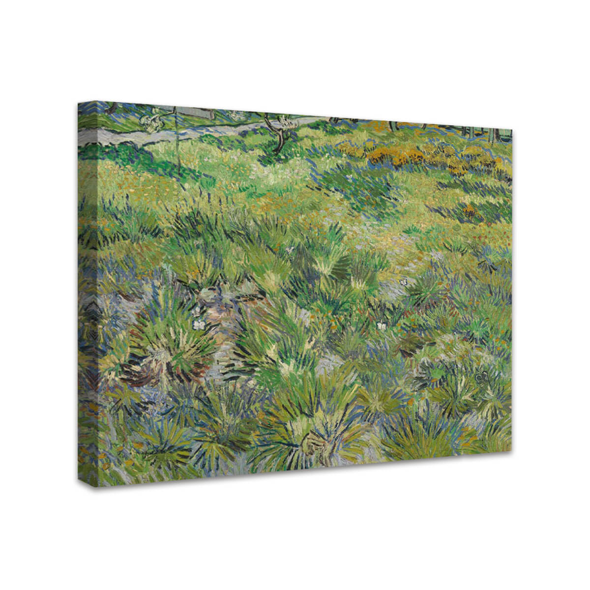Wiese im Garten des Hospitals Saint-Paul | Vincent van Gogh