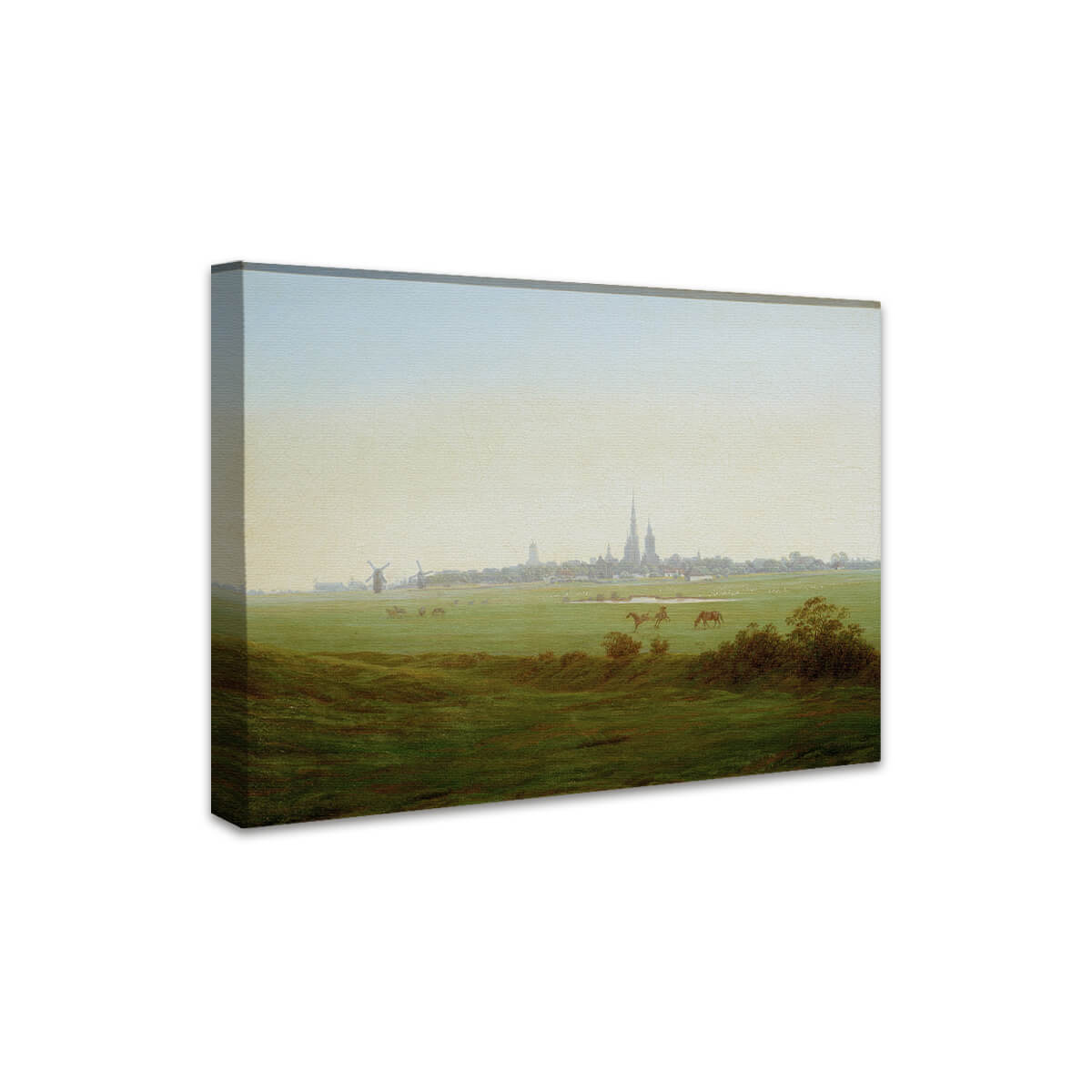 Wiesen bei Greifswald | Caspar David Friedrich