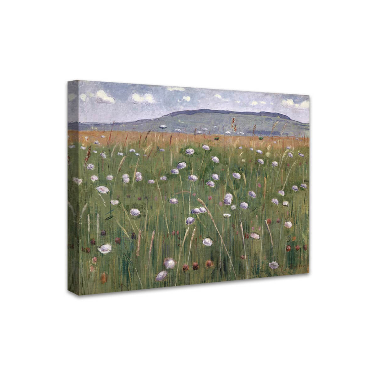 Wiesenstück | Ferdinand Hodler