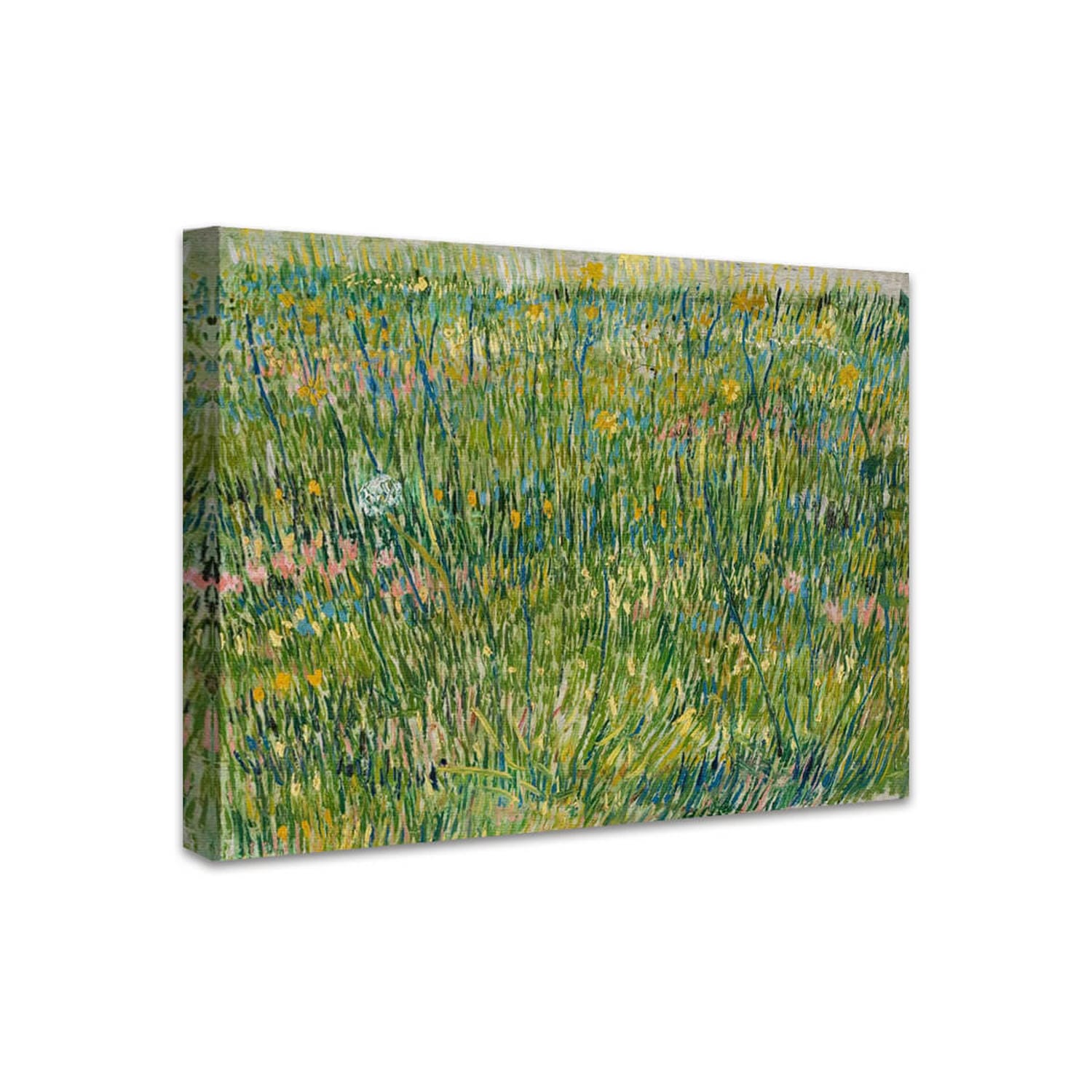 Wiesenstück | Vincent van Gogh