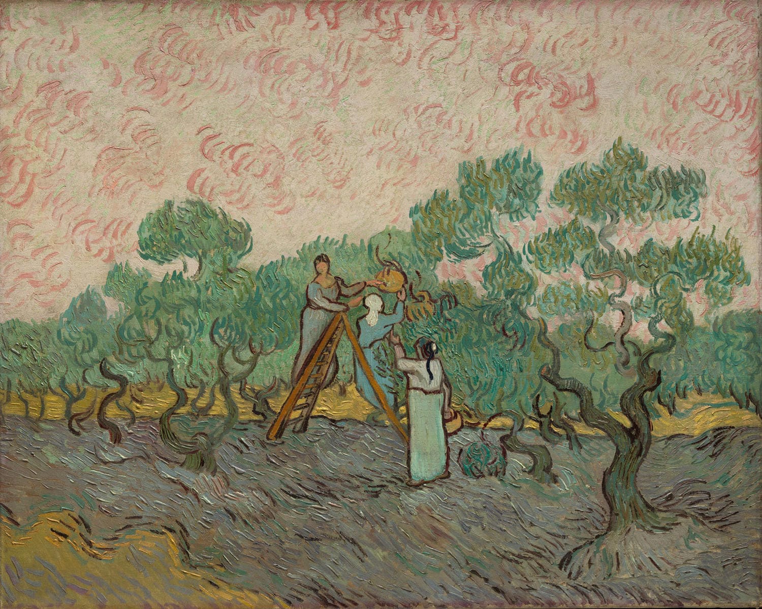Frauen beim Olivenpflücken in der Provence, gemalt von Vincent van Gogh im Jahr 1889, mit kräftigen Farben und dynamischen Pinselstrichen.