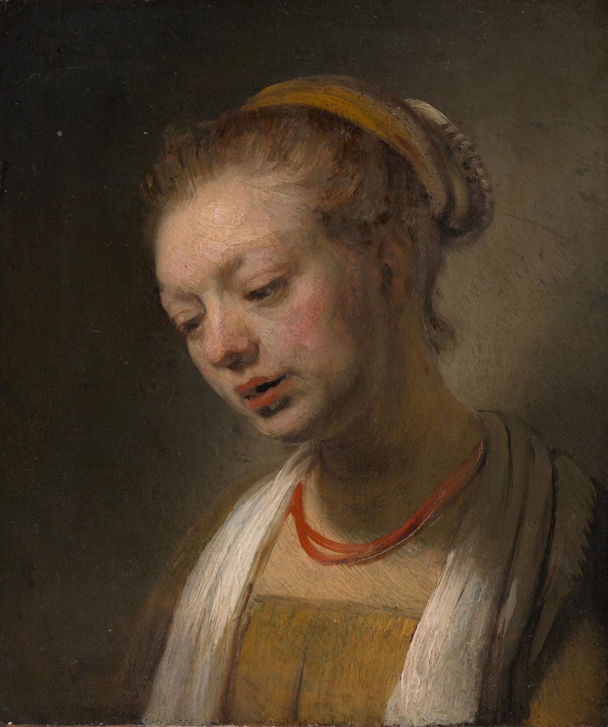 Junge Frau mit rotem Halsband, gemalt von Rembrandt van Rijn, zeigt eine elegante Frau in edler Kleidung mit einem auffälligen roten Halsband, umgeben von warmen Farbtönen und meisterhaftem Licht-Schatten-Spiel.