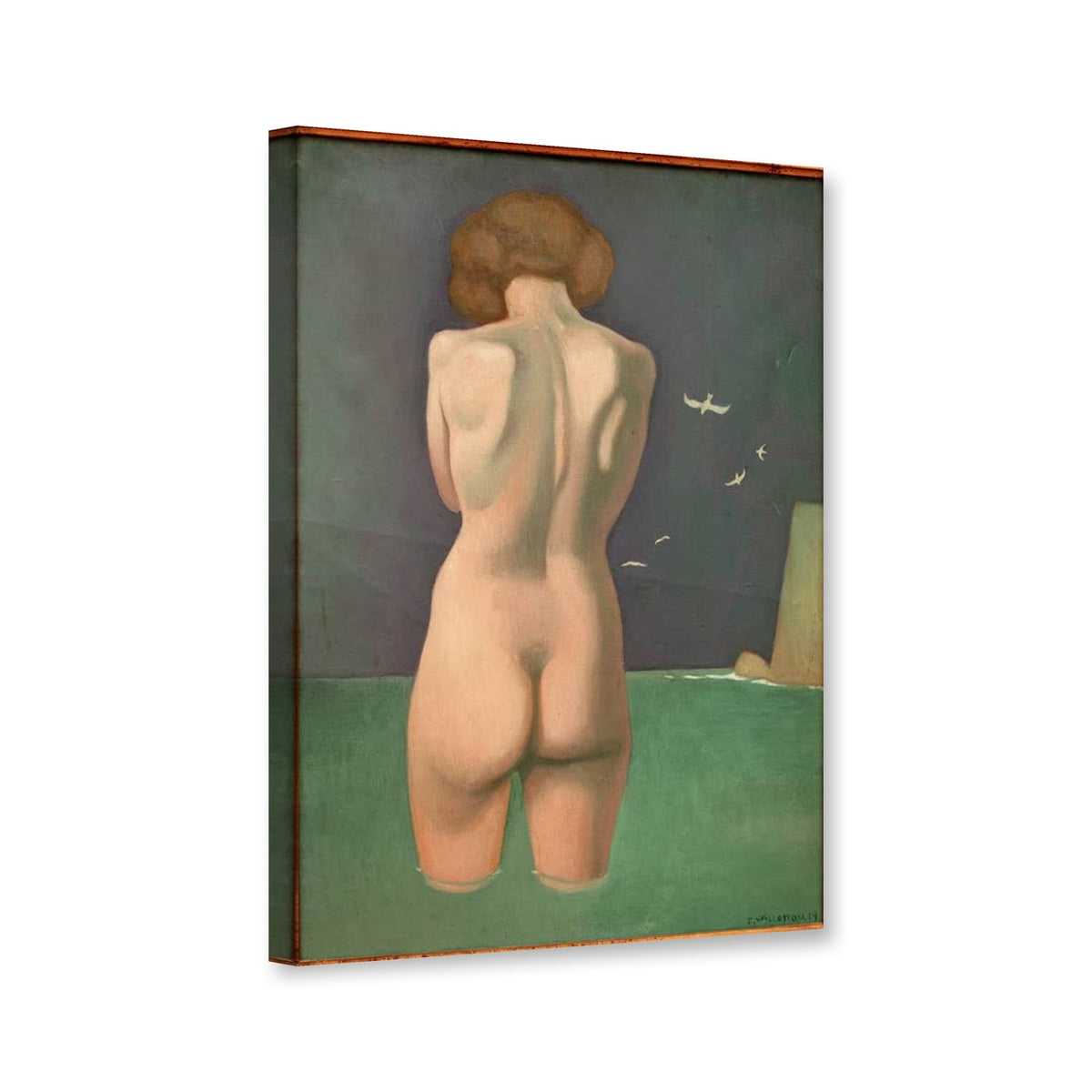 Badende mit Vögeln, Rückenakt im Wasser von Félix Vallotton als Leinwand – Perspektivansicht