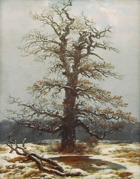 Alte Eiche mit wenigen Blättern in verschneiter Waldlandschaft – Caspar David Friedrich Eiche im Schnee Kunstkopie