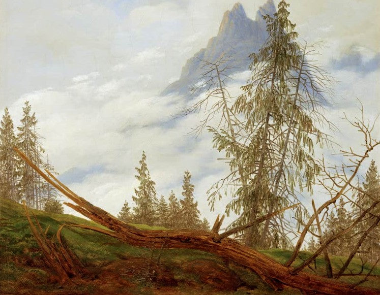 Zerzauste Fichte, umgestürzter Stamm und Felsgipfel in Wolken – Caspar David Friedrich Hochgebirgsgipfel Kunstkopie