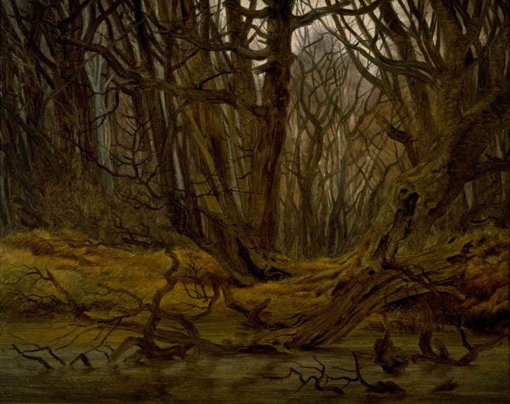 Dichter Wald mit kahlen Stämmen und umgestürzten Ästen am Wasser – Caspar David Friedrich Wald im Spätherbst Kunstkopie